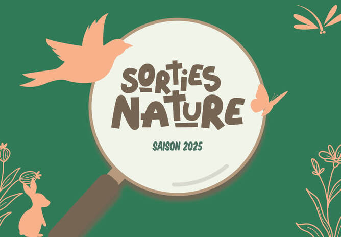 Sorties nature 2025